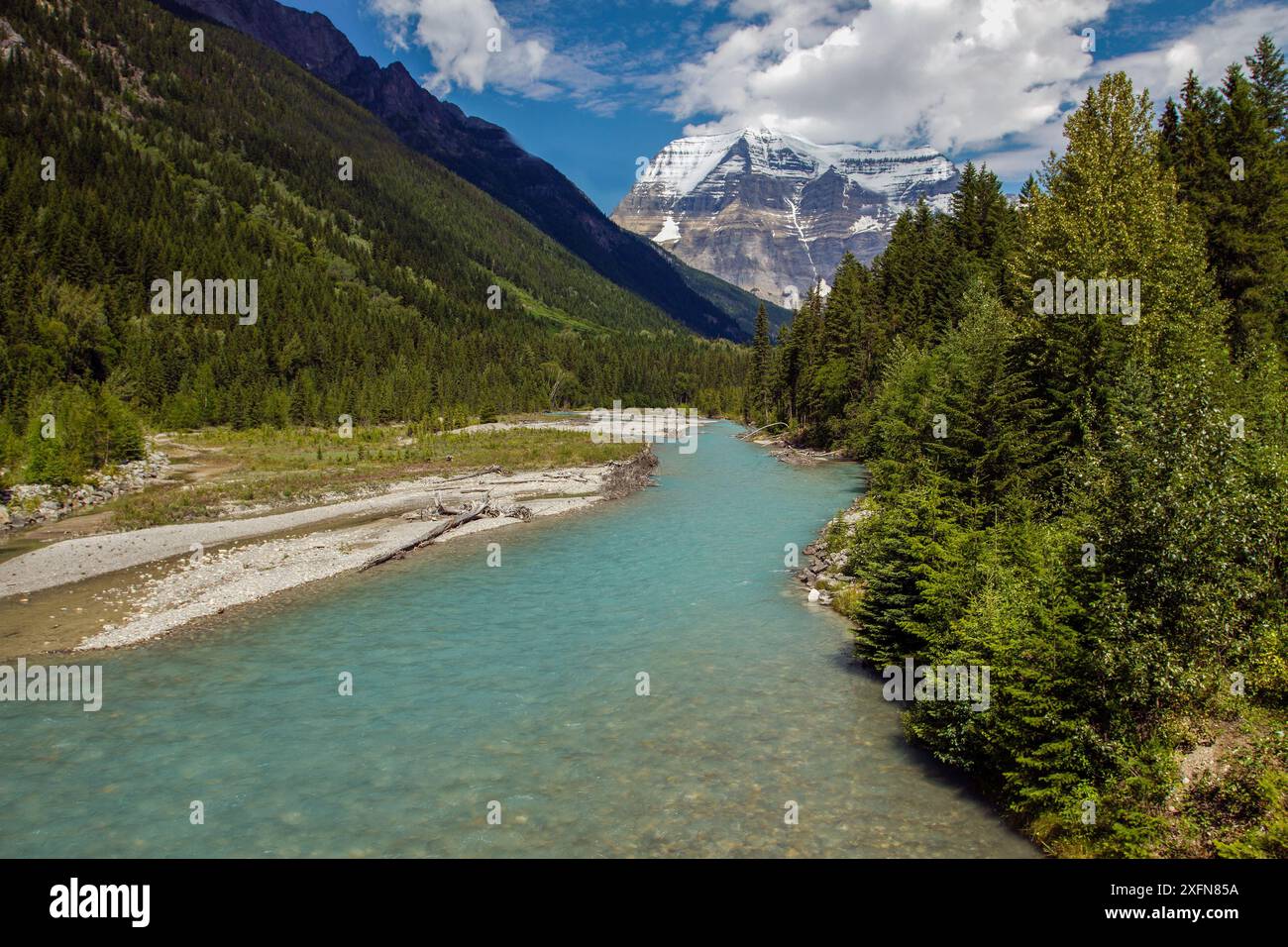 Ruisseau Robson, un ruisseau d'eau de fonte des glaciers dans le parc provincial Mount Robson, Parcs des montagnes Rocheuses canadiennes site du patrimoine mondial de l'UNESCO, Colombie-Britannique, Canada, juillet Banque D'Images