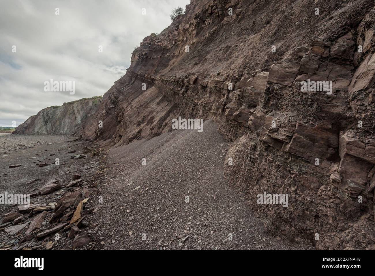 Érosion sur des couches stratifiées contenant des fossiles à Joggins Fossil Cliffs et site du patrimoine mondial de l'UNESCO, baie de Fundy, Nouvelle-Écosse, Canada. Mai 2017 Banque D'Images