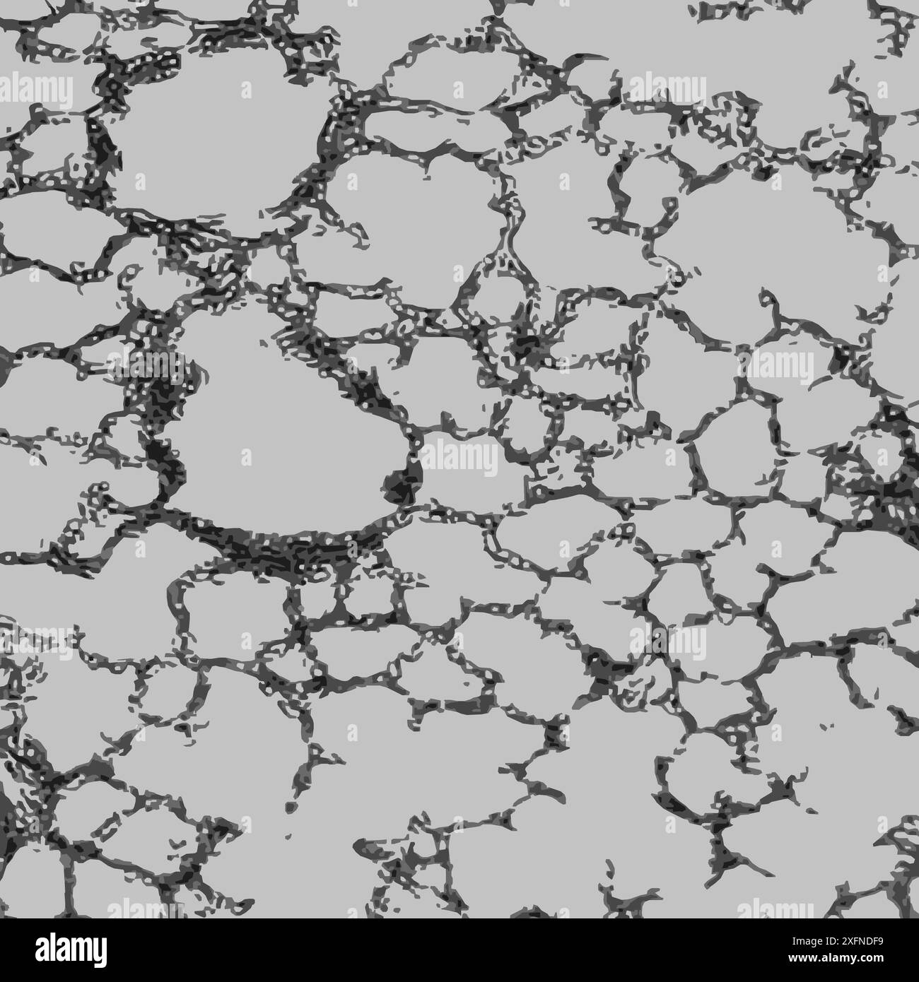 Poumons sous microscope - zoom 100x Illustration de Vecteur