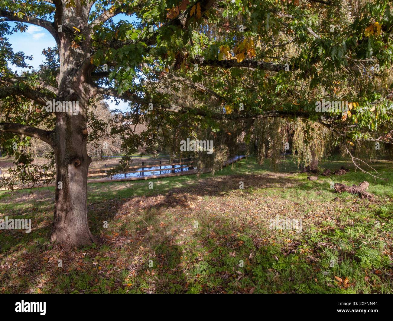 Godalming Town, Surrey, Angleterre. Ville dans les Surrey Hills où vit le député conservateur Jeremy Hunt. Banque D'Images