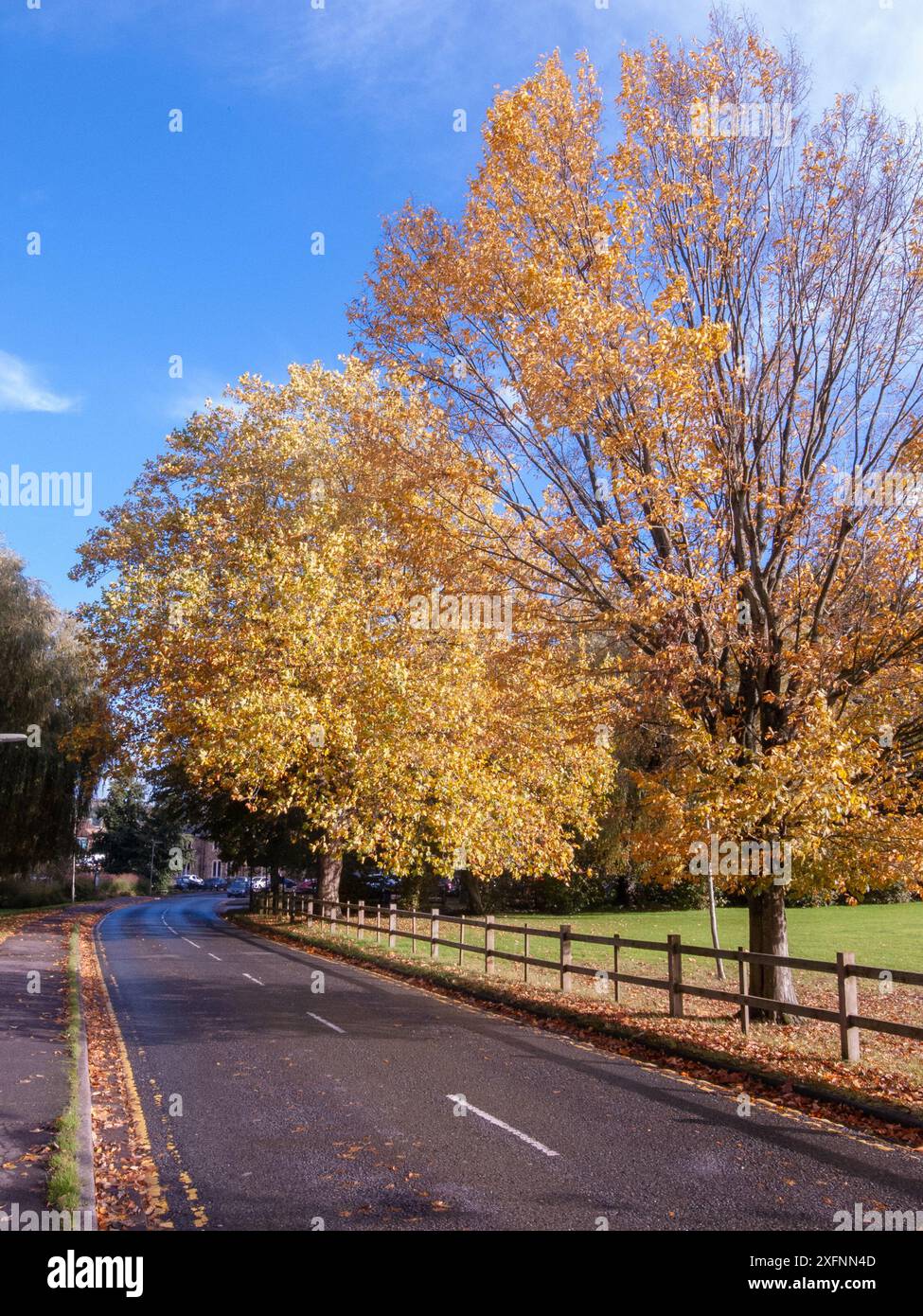 Godalming Town, Surrey, Angleterre. Ville dans les Surrey Hills où vit le député conservateur Jeremy Hunt. Banque D'Images