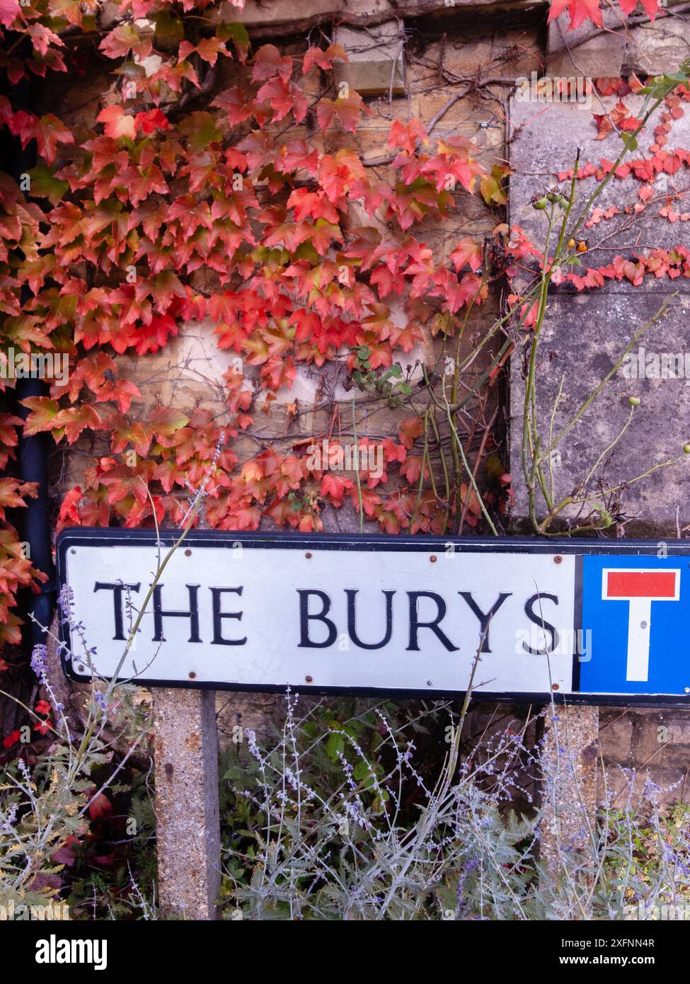 Godalming Town, Surrey, Angleterre. Ville dans les Surrey Hills où vit le député conservateur Jeremy Hunt. Banque D'Images