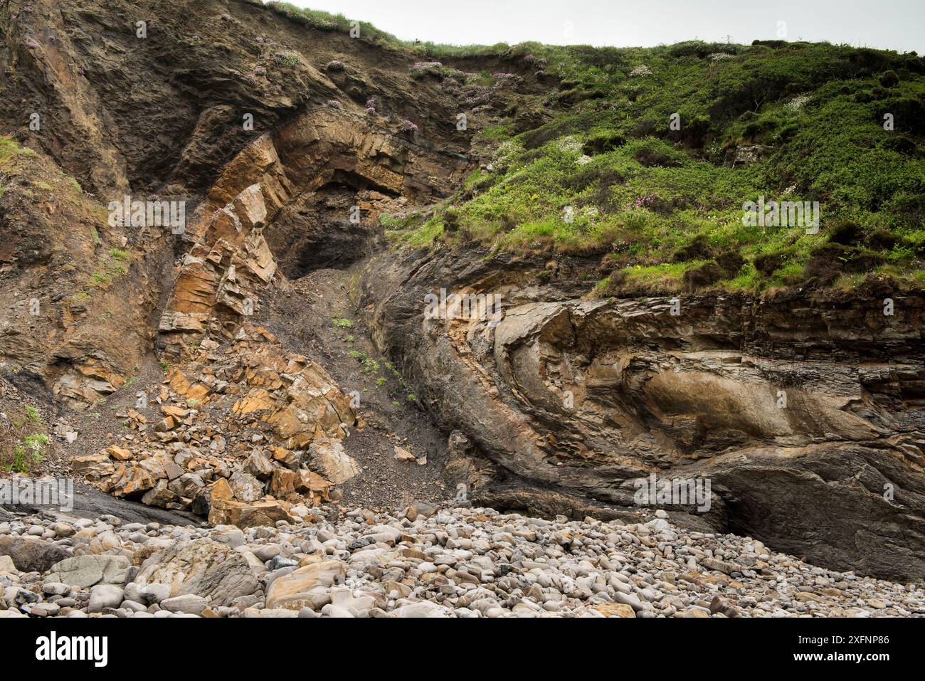 Petit pli anticlinal dans le Carbonifère, le charbon mesure les roches. Broad Haven, Pembrokeshire, pays de Galles, Royaume-Uni, mai. Banque D'Images