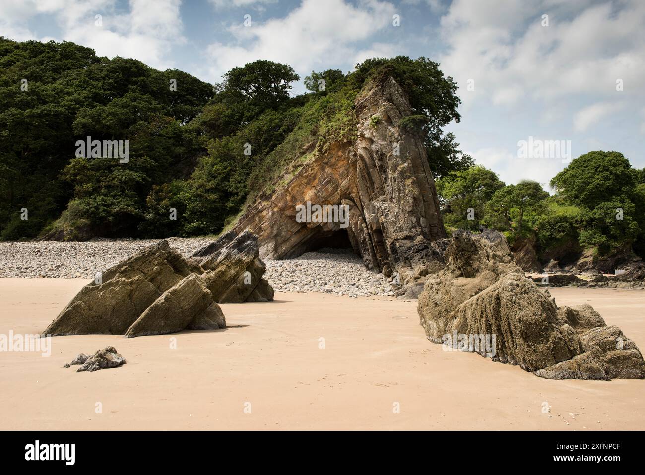 L'anticline Ladies Cave, un pli asymétrique de chevron formé au cours de l'orogenèse varisque, dans les sédiments du Carbonifère, Westphalie, Lower Coal Measures. Saundersfoot, Pembrokeshire, pays de Galles. Juin 2017 Banque D'Images L'anticline Ladies Cave, un pli asymétrique de chevron formé au cours de l'orogenèse varisque, dans les sédiments du Carbonifère, Westphalie, Lower Coal Measures. Saundersfoot, Pembrokeshire, pays de Galles. Juin 2017 Banque D'Images