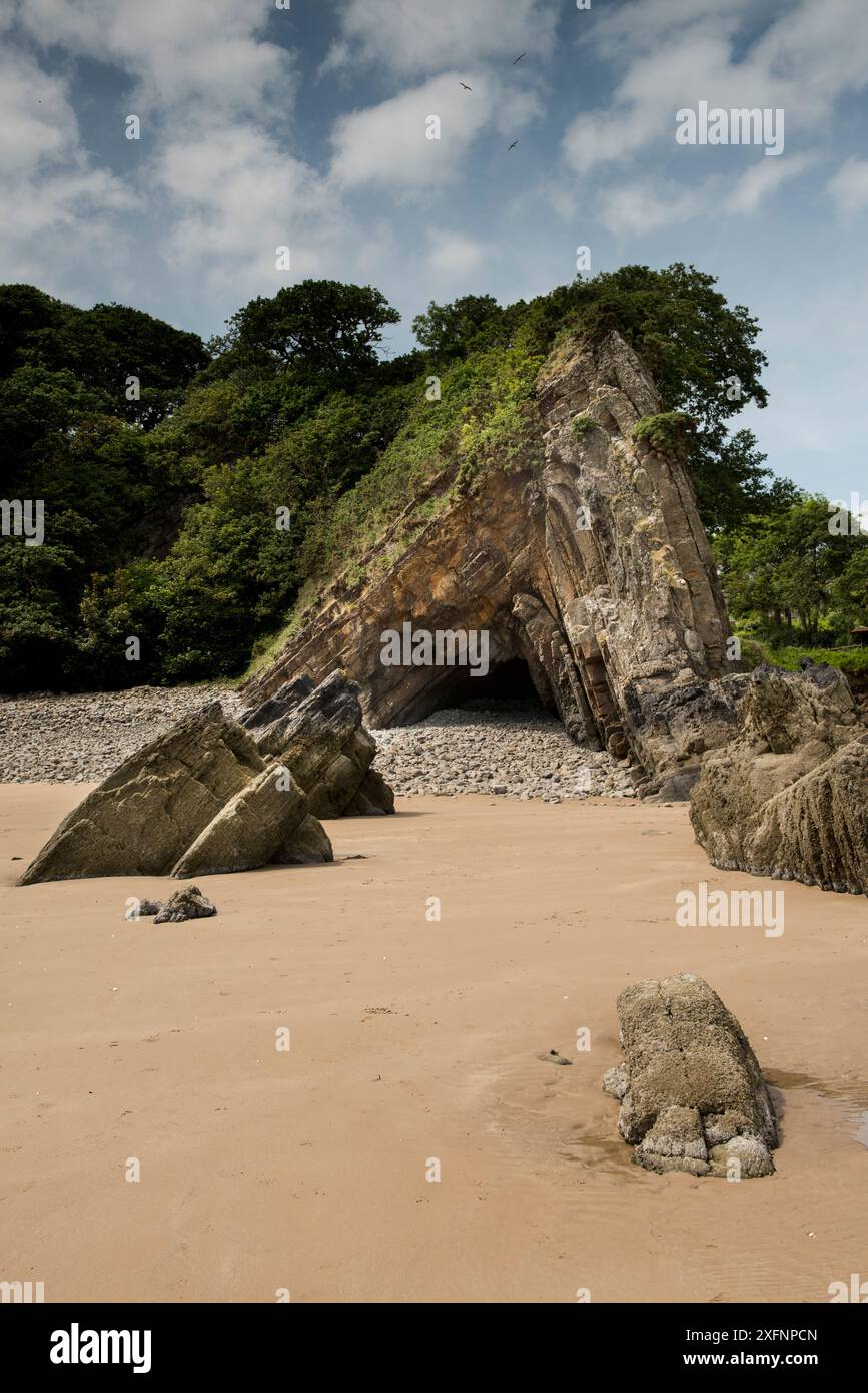 L'anticline Ladies Cave, un pli asymétrique de chevron formé au cours de l'orogenèse varisque, dans les sédiments du Carbonifère, Westphalie, Lower Coal Measures. Saundersfoot, Pembrokeshire, pays de Galles. Juin 2017 Banque D'Images L'anticline Ladies Cave, un pli asymétrique de chevron formé au cours de l'orogenèse varisque, dans les sédiments du Carbonifère, Westphalie, Lower Coal Measures. Saundersfoot, Pembrokeshire, pays de Galles. Juin 2017 Banque D'Images