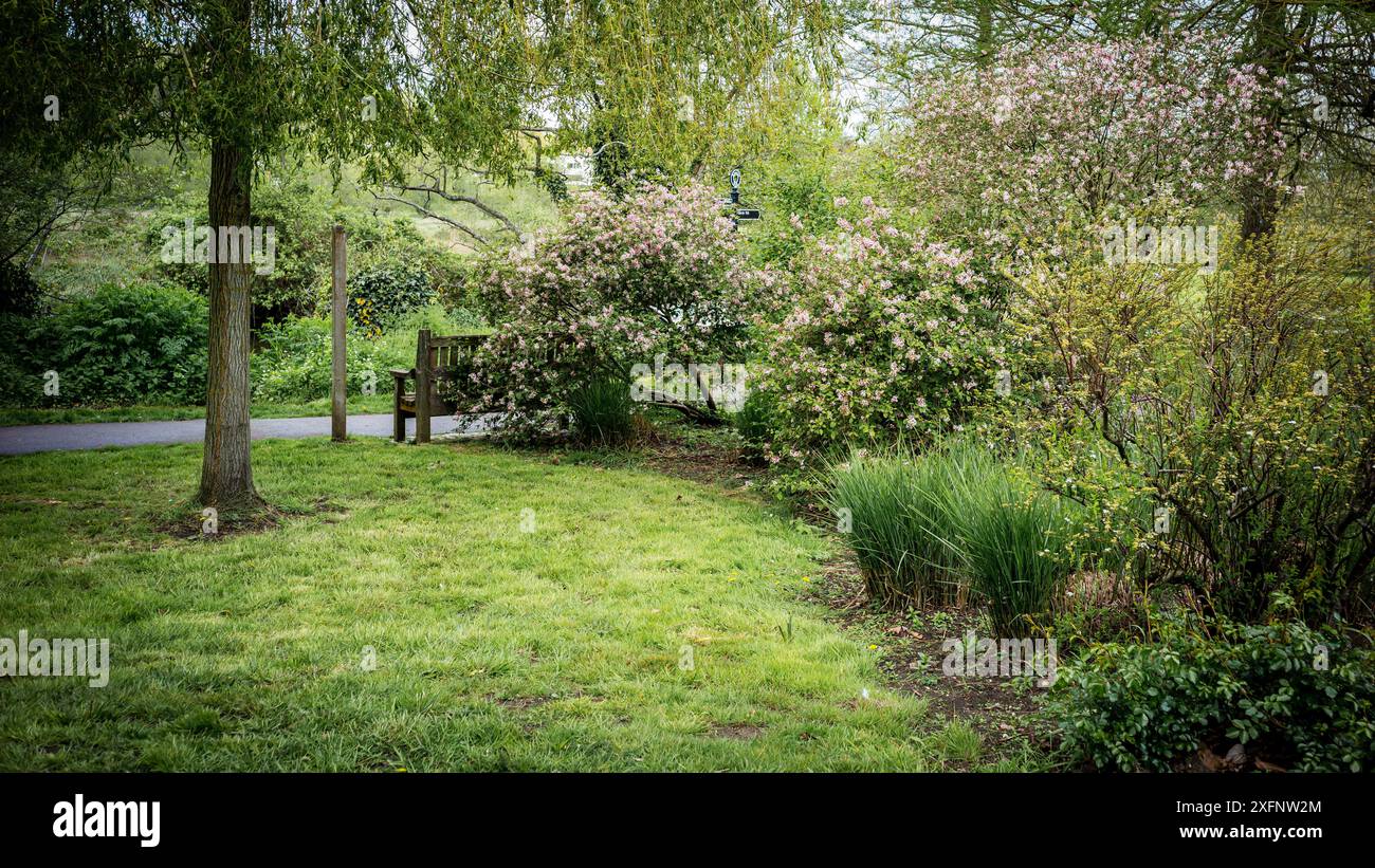 Godalming Town, Surrey, Angleterre. Ville dans les Surrey Hills où vit le député conservateur Jeremy Hunt. Banque D'Images