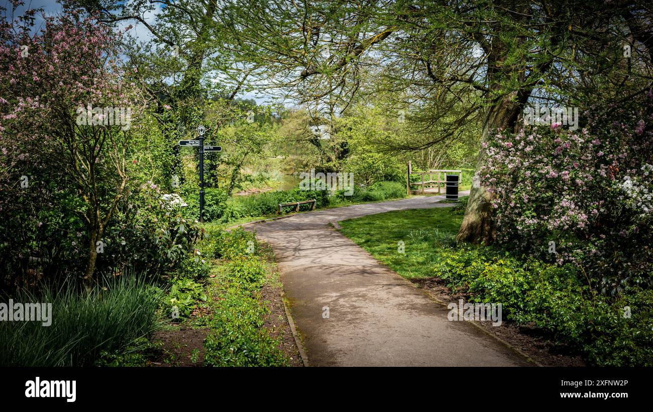 Godalming Town, Surrey, Angleterre. Ville dans les Surrey Hills où vit le député conservateur Jeremy Hunt. Banque D'Images