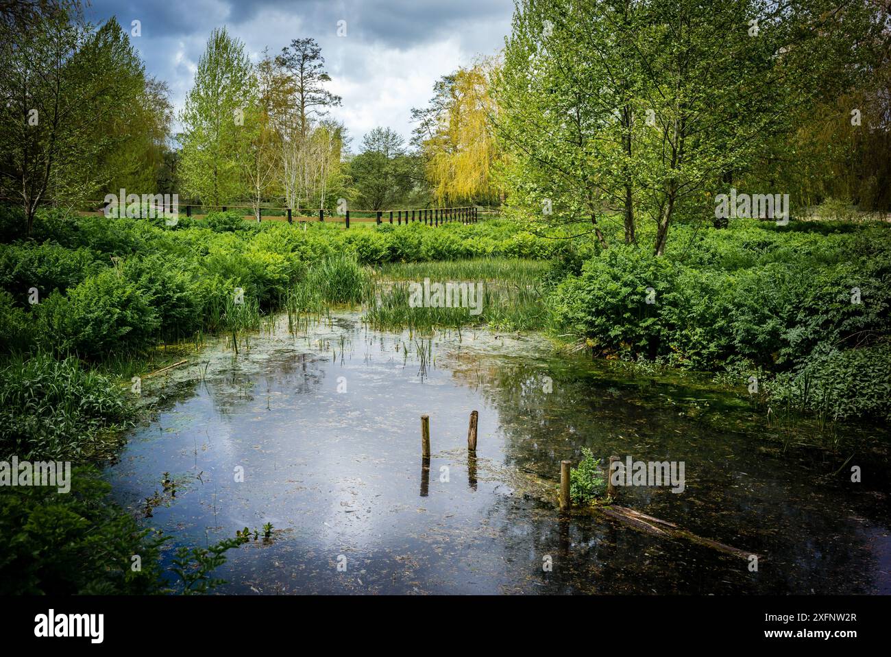 Godalming Town, Surrey, Angleterre. Ville dans les Surrey Hills où vit le député conservateur Jeremy Hunt. Banque D'Images