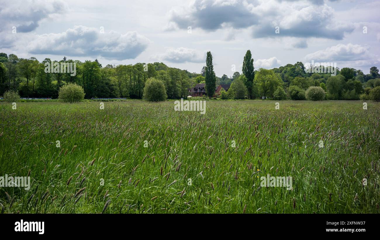 Godalming Town, Surrey, Angleterre. Ville dans les Surrey Hills où vit le député conservateur Jeremy Hunt. Banque D'Images