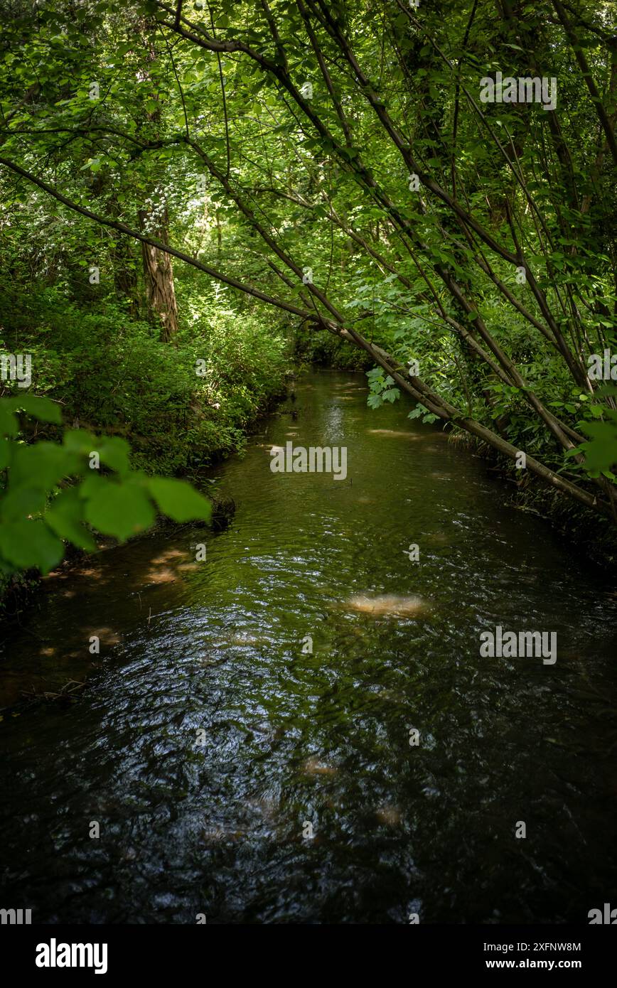 Godalming Town, Surrey, Angleterre. Ville dans les Surrey Hills où vit le député conservateur Jeremy Hunt. Banque D'Images
