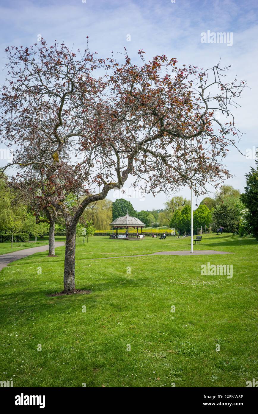 Godalming Town, Surrey, Angleterre. Ville dans les Surrey Hills où vit le député conservateur Jeremy Hunt. Banque D'Images