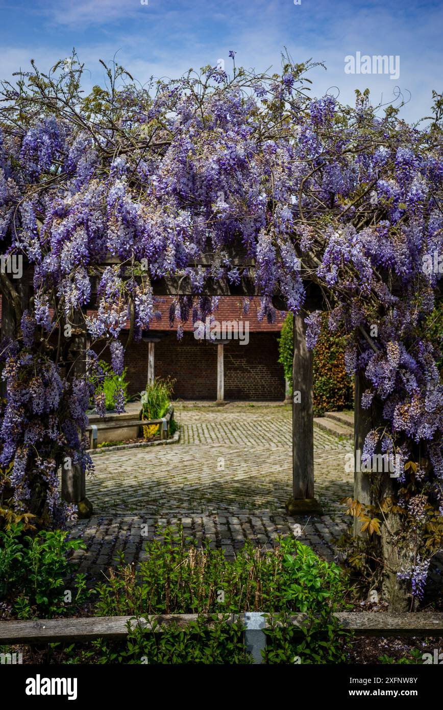 Godalming Town, Surrey, Angleterre. Ville dans les Surrey Hills où vit le député conservateur Jeremy Hunt. Banque D'Images