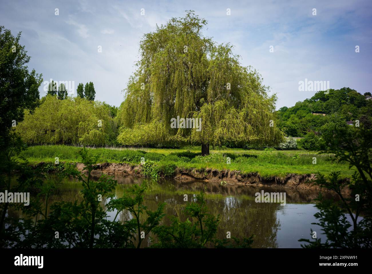 Godalming Town, Surrey, Angleterre. Ville dans les Surrey Hills où vit le député conservateur Jeremy Hunt. Banque D'Images