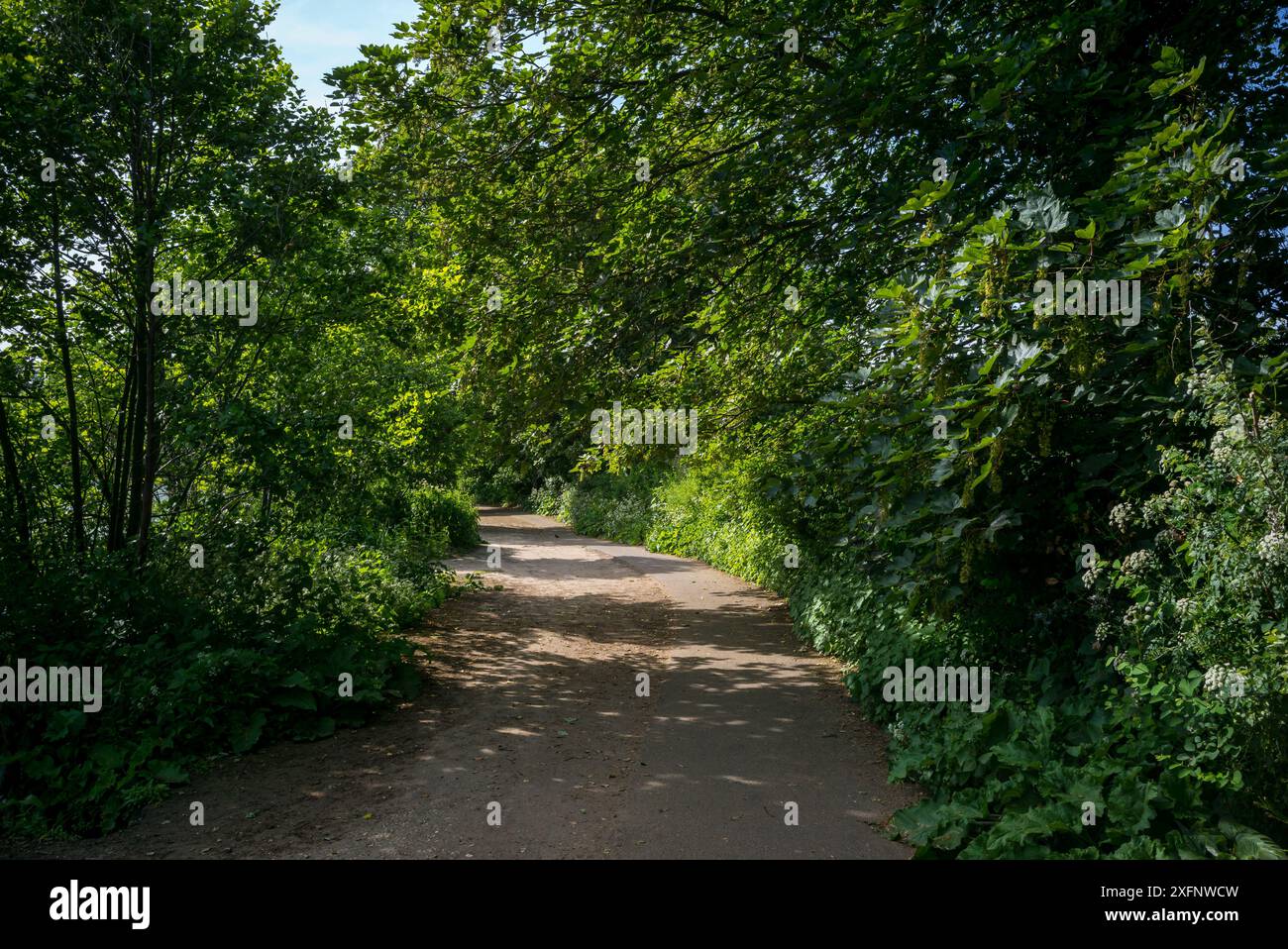 Godalming Town, Surrey, Angleterre. Ville dans les Surrey Hills où vit le député Jeremy Hunt. Banque D'Images