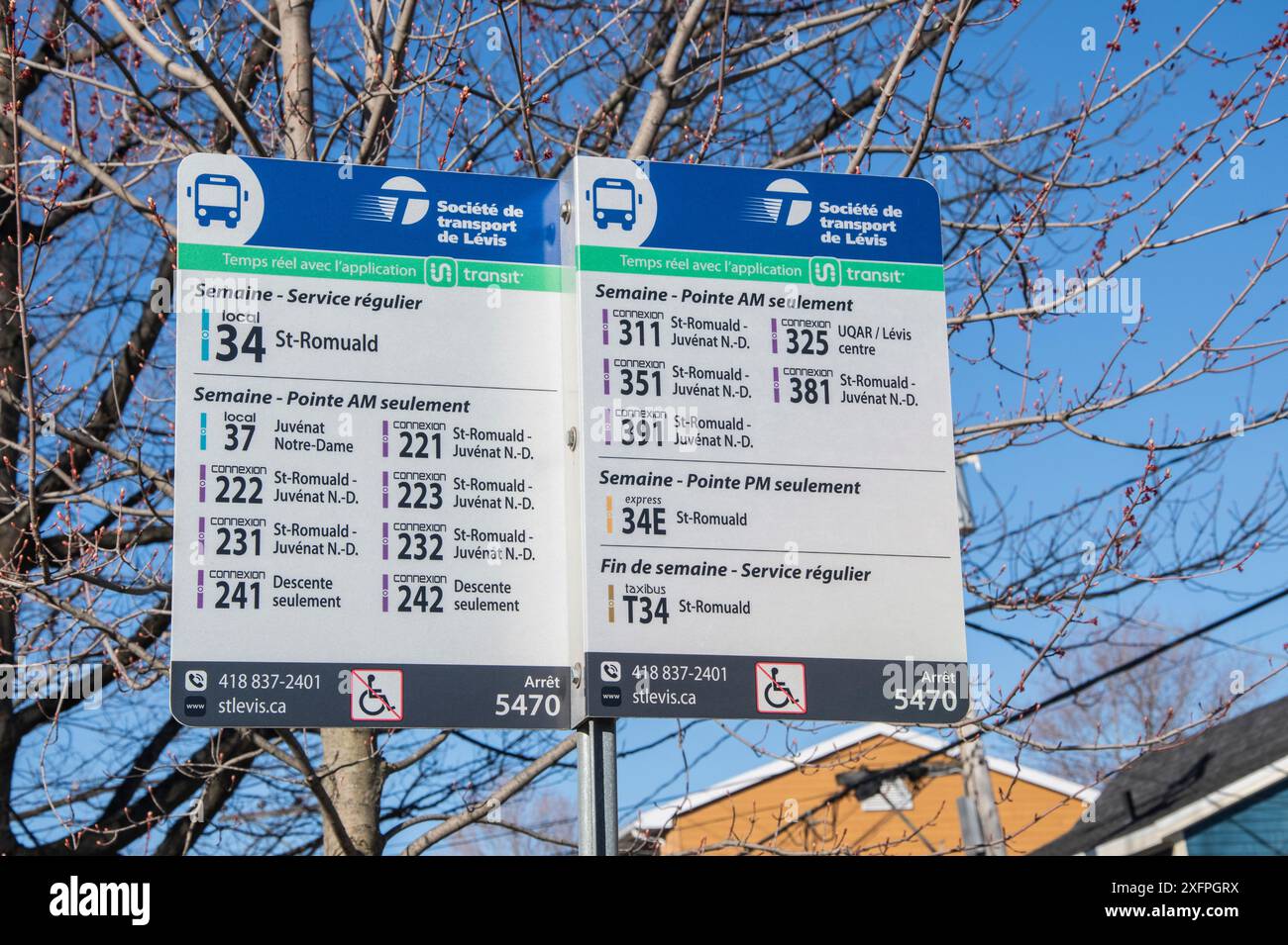 Panneaux d'arrêt de bus sur Chem. Du fleuve à Lévis, Québec, Canada Banque D'Images