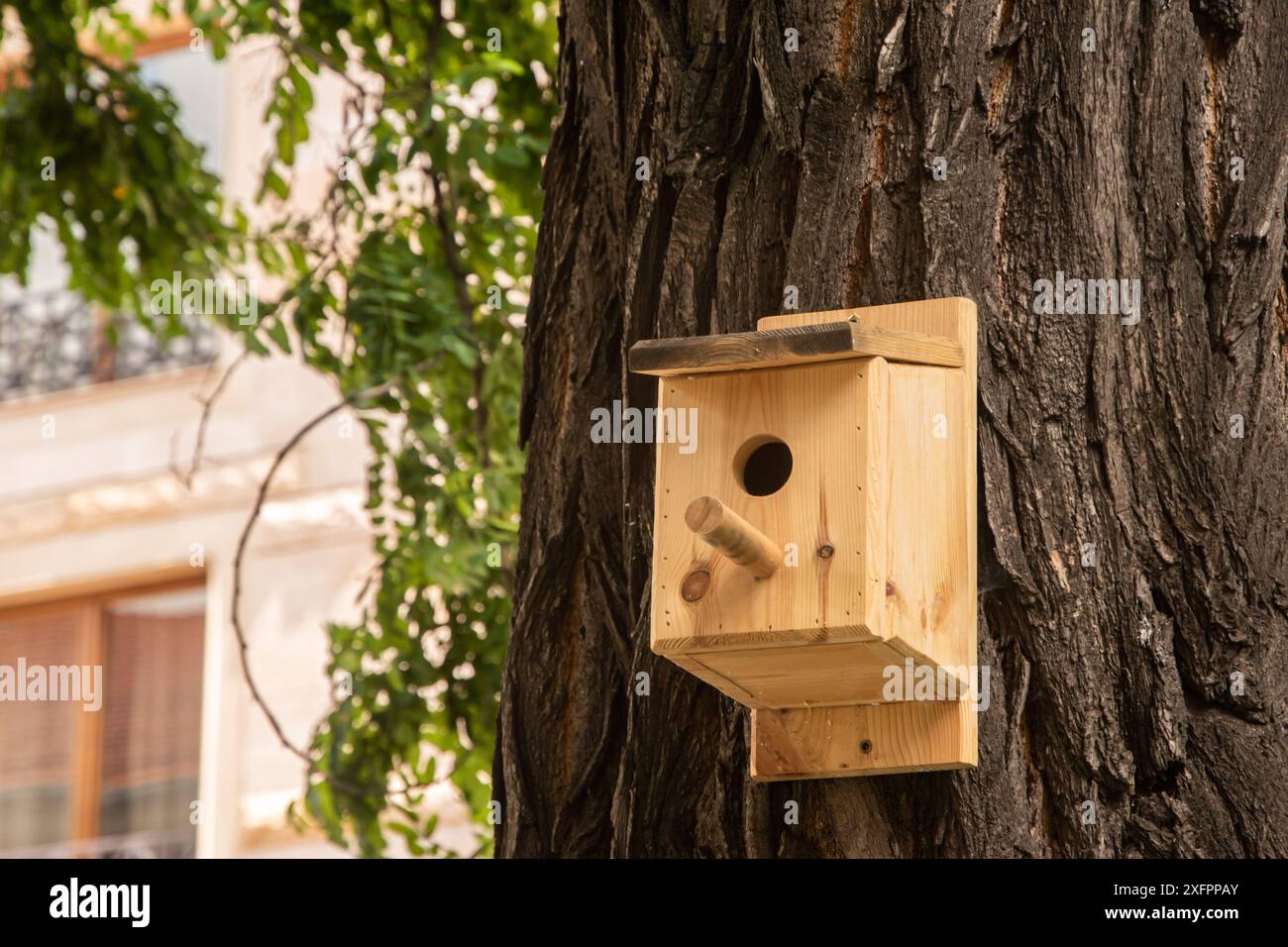 Nichoir en bois accroché à un arbre dans l'environnement urbain en gros plan Banque D'Images