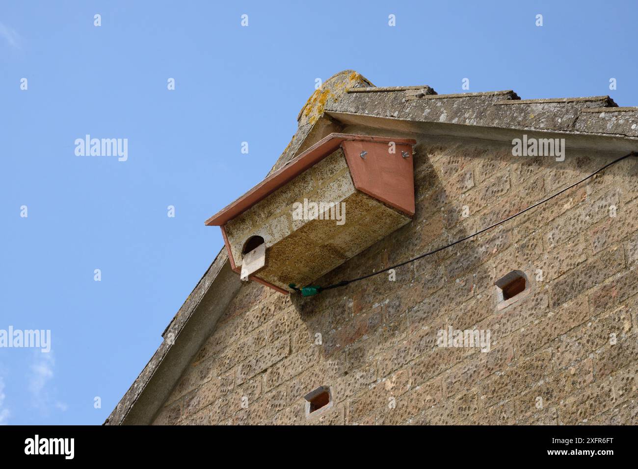 Boîte à emboîter sur un mur de maison à côté des entrées creuses en briques rapides vers des boîtes à emboîter dans un espace de toit, Worlington, Suffolk, Royaume-Uni, juillet. Banque D'Images