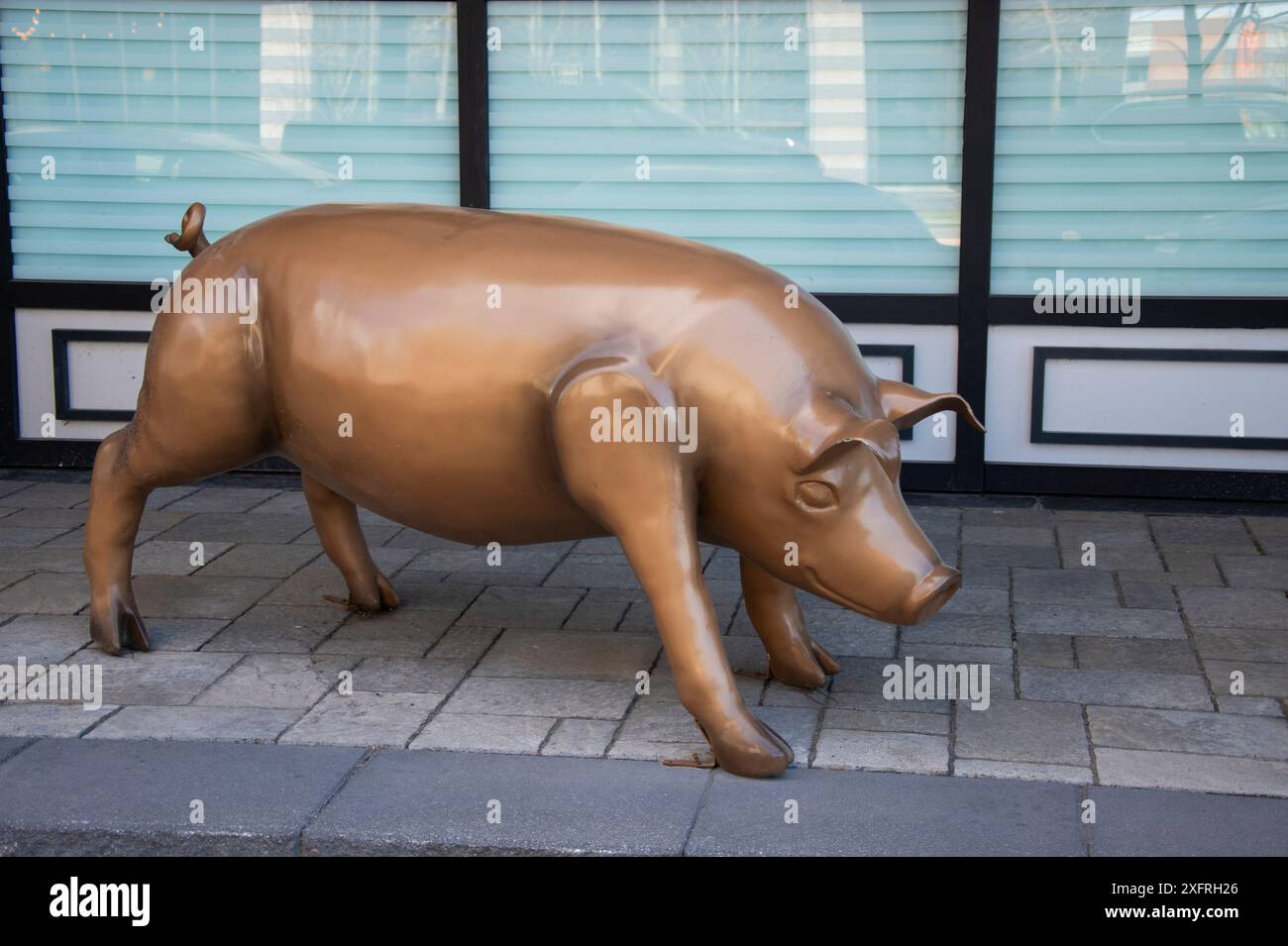 Sculpture de cochon au bistrot Cochon dingue rue de Courchevel à Lévis, Québec, Canada Banque D'Images