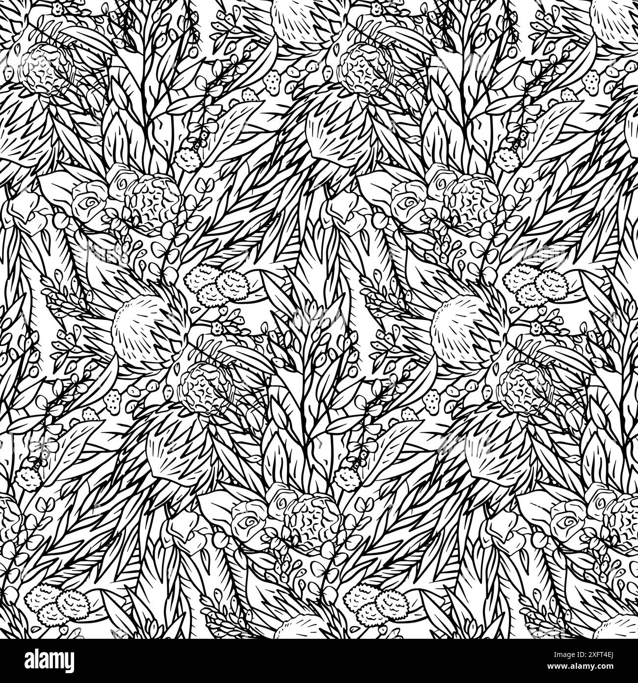 Motif sans couture noir et blanc avec des fleurs protea art au trait Illustration de Vecteur