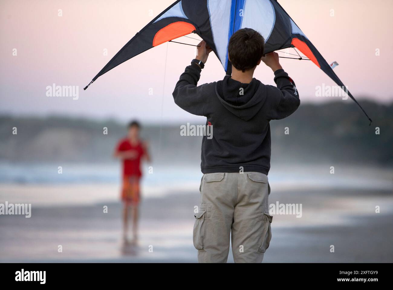 Cerf-volant Banque D'Images