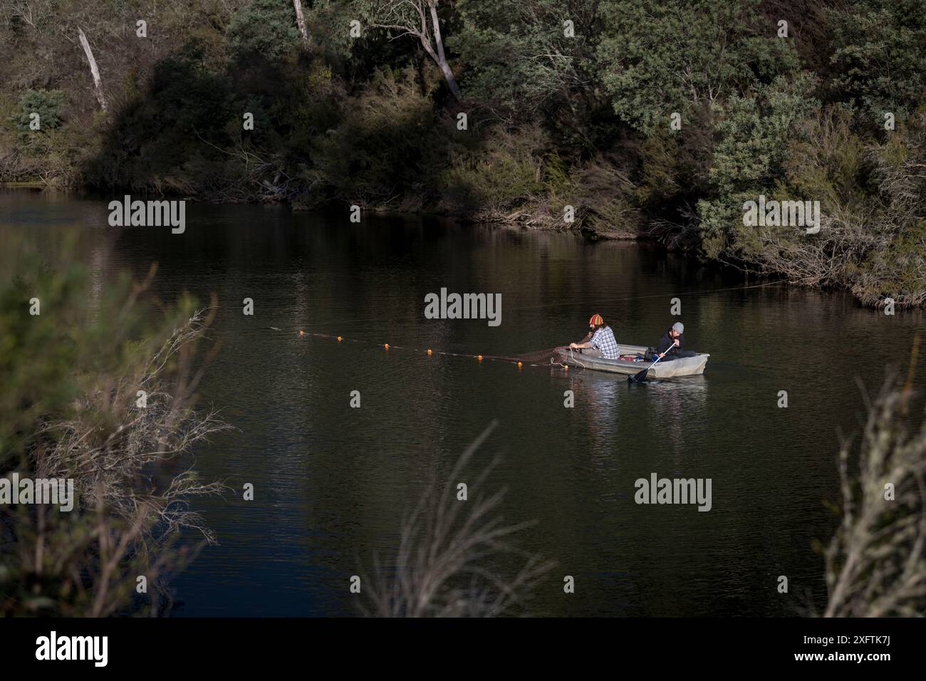 Ornithorhynchus anatinus (ornithorhynchus anatinus) des chercheurs plaçant des filets maillants dans la rivière Snowy. Mitta Mitta River, Dartmouth, Victoria, Australie. Mai 2018. Autorisation du modèle. Banque D'Images