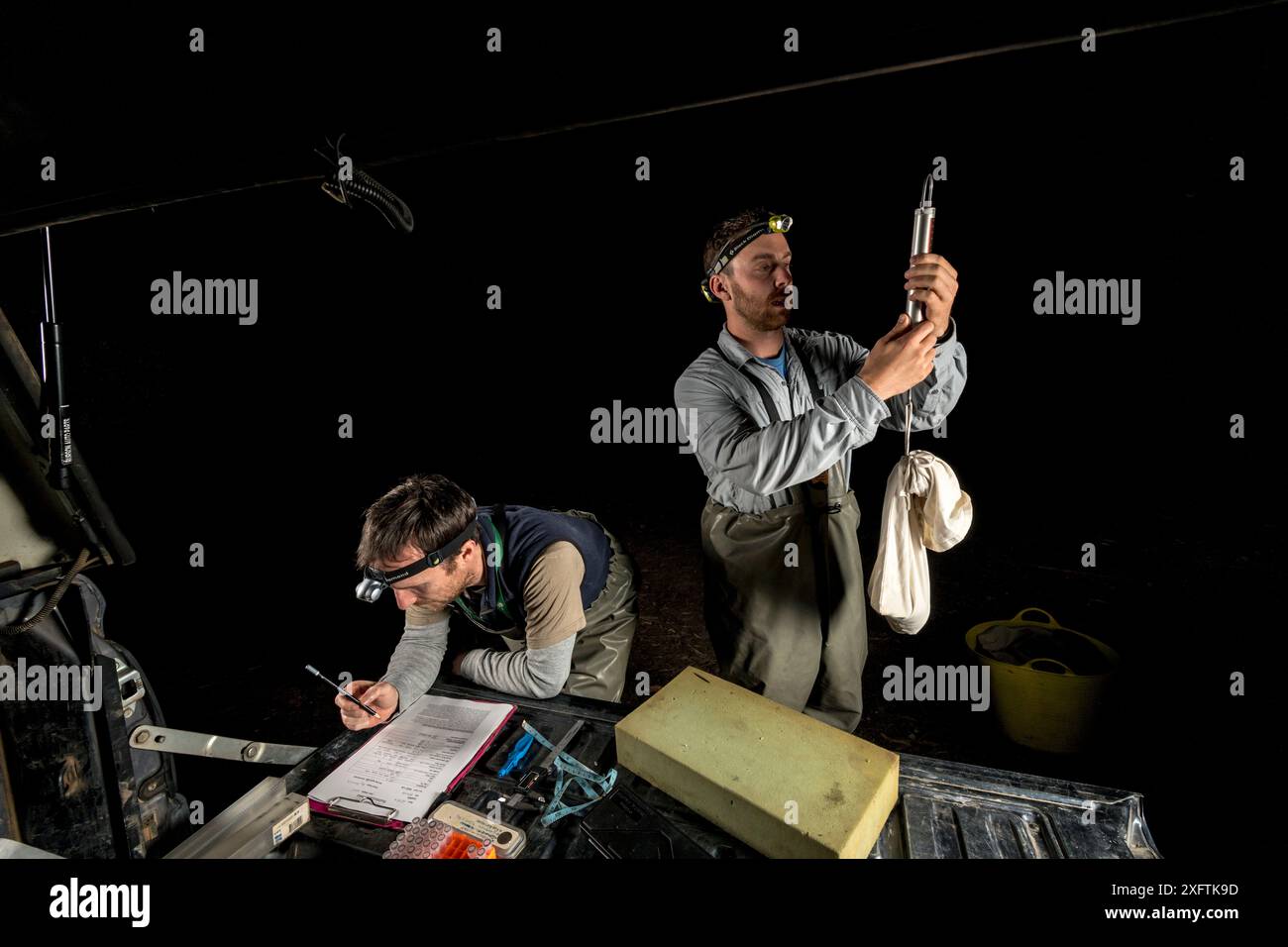 Chercheur d'ornithorynques pesant ornithorhynchus anatinus Warburton, Victoria, Australie. Octobre 2018. Autorisation du modèle. Banque D'Images