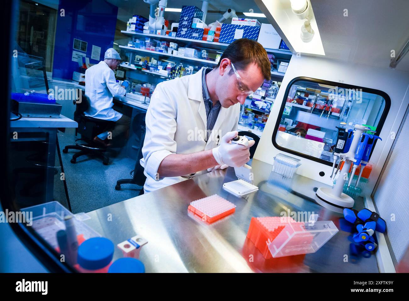 Scientifique examinant l'eau de rivière pour tester l'ADN d'ornithorynques. CESAR Research Laboratory, Melbourne, Victoria, Australie. Juin 2017.autorisation du modèle. Banque D'Images