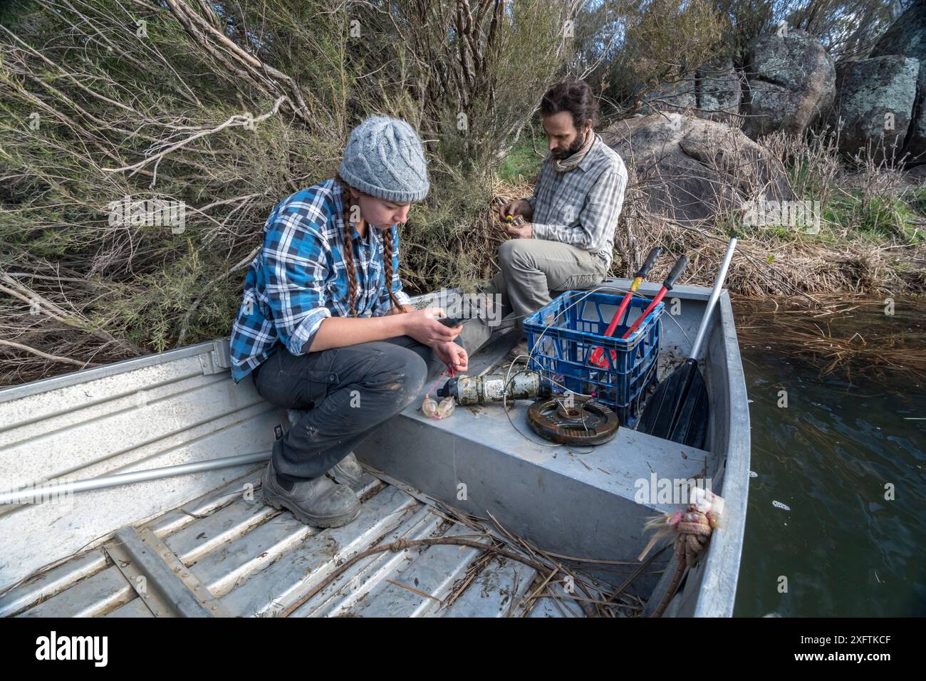 Ornithorhynchus anatinus (Ornithorhynchus anatinus) les chercheurs préparent des récepteurs radio à placer dans la rivière et aident à suivre le mouvement des ornithorhynchus qui ont des transpondeurs attachés. Dalgety, Nouvelle-Galles du Sud, Australie. Septembre 2017. Autorisation du modèle. Banque D'Images