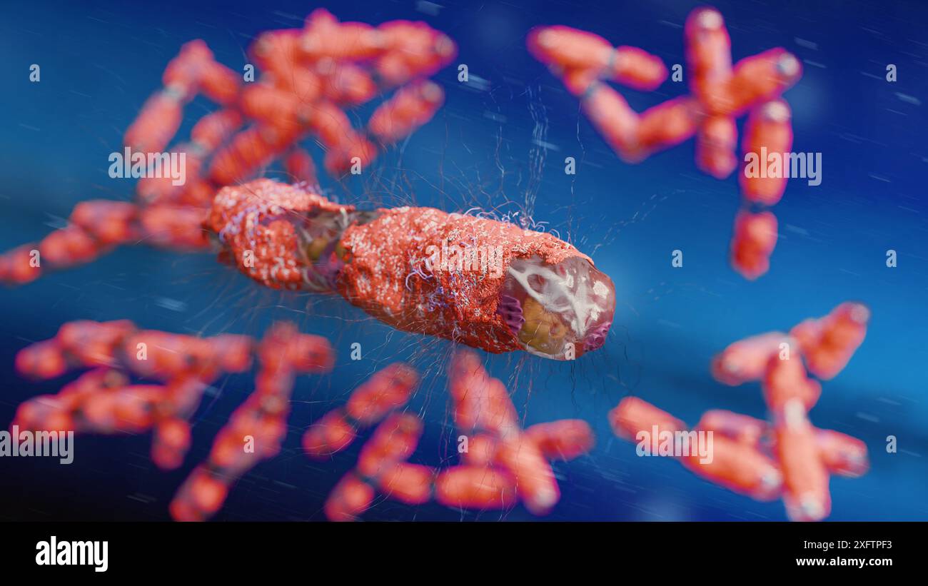 Concept des poumons infectés par la main du médecin, présence d'infection à mycobactéries tuberculeuses, tuberculose bactérienne, cancer du poumon et maladie pulmonaire Banque D'Images