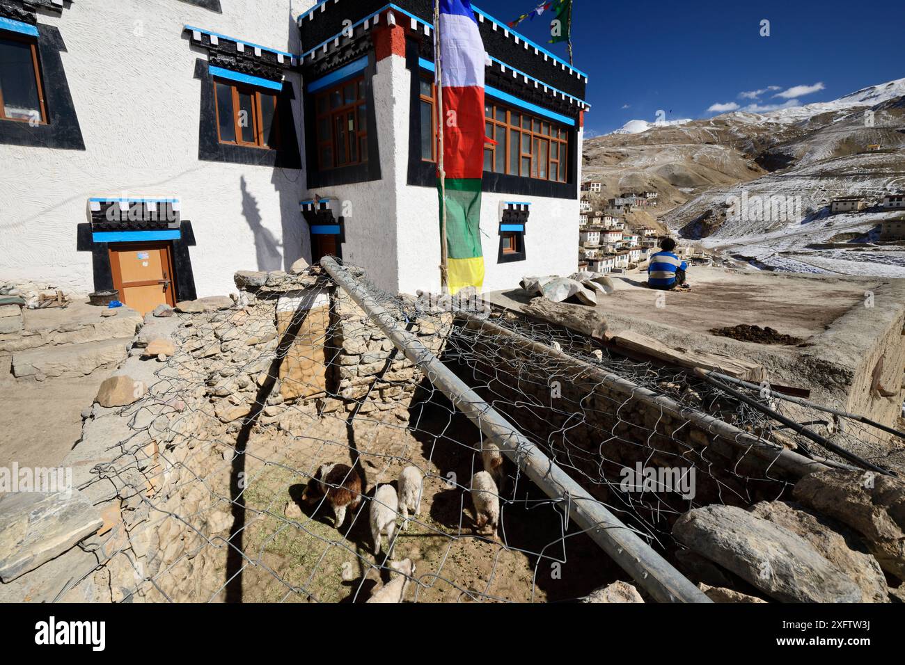 Enclos à moutons recouverts de fil pour protéger le bétail contre l'attaque de léopard des neiges (Pantehera uncia) dans le village de Kibber dans la vallée de Spiti, réserve de biosphère du désert froid, montagnes de l'Himalaya, Himachal Pradesh, Inde Banque D'Images