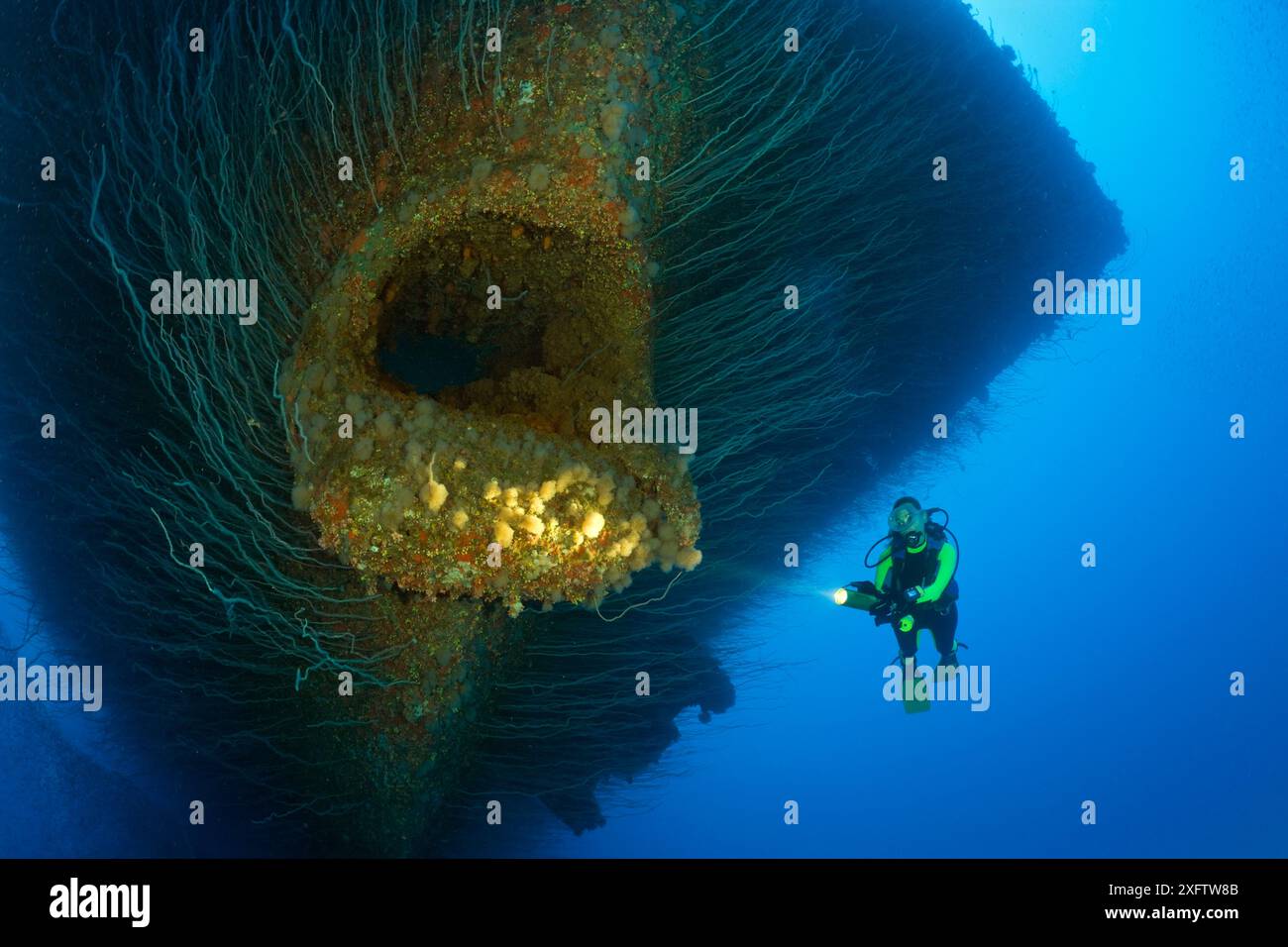 À l'Ancre plongeur Hawse trou à l'arc d'USS Saratoga, Îles Marshall, Micronésie, l'atoll de Bikini, l'Océan Pacifique Banque D'Images