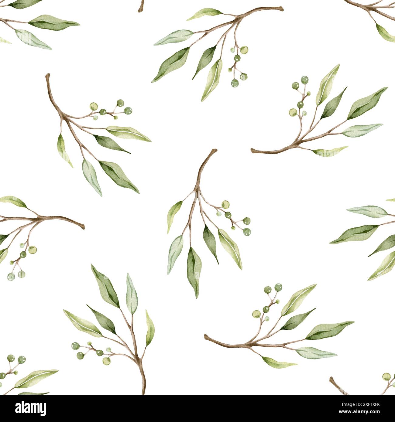 Motif sans couture avec feuilles d'eucalyptus vert et baie verte. Imprimé naturel botanique pour un design textile. Illustration isolée à l'aquarelle sur blanc Banque D'Images