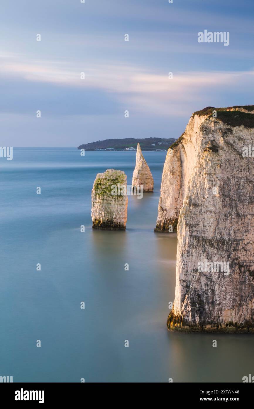 Les Pinnacles de Ballard Down, Swanage, île de Purbeck, Dorset, Angleterre, ROYAUME-UNI. Décembre 2014. Banque D'Images
