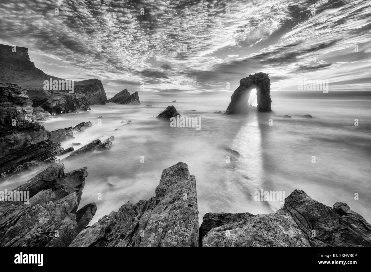 Gaada Stack, Foula, Shetland, Écosse, Royaume-Uni. Août 2016. Banque D'Images