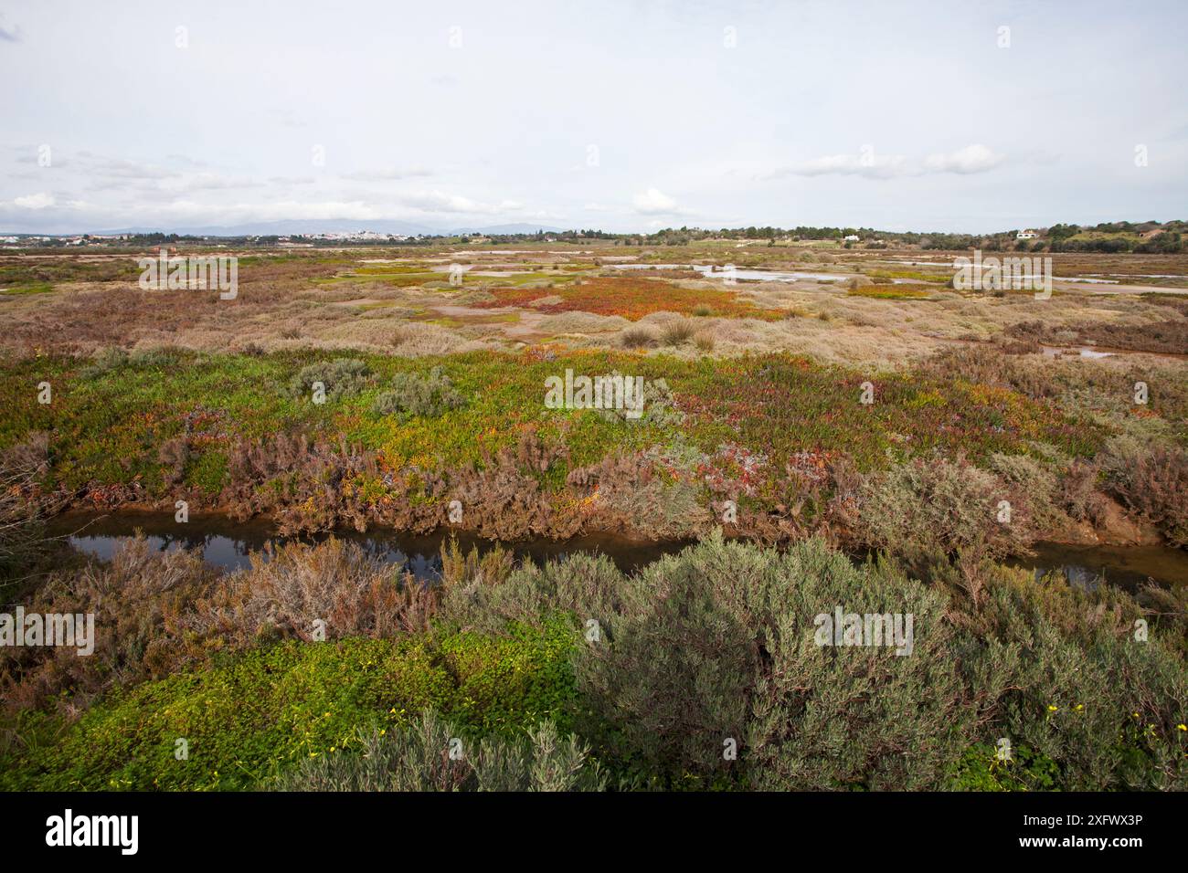 Marais salants et route sur une partie de la réserve naturelle de Ria de Alvor, Algarve, Portugal, février 2017. Banque D'Images Marais salants et route sur une partie de la réserve naturelle de Ria de Alvor, Algarve, Portugal, février 2017. Banque D'Images