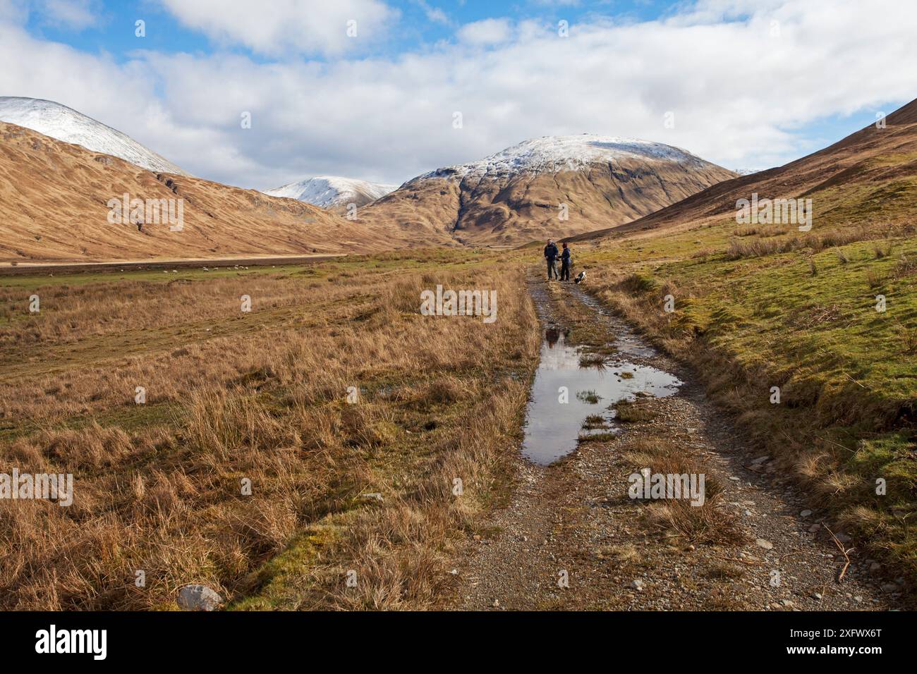 Promeneurs et chien sur un sentier à Glen Cammel près du Loch Ba avec les montagnes de Beinn Bheag Beinn Talaidh et Beinn Chaisgidle au-delà de l'île de Mull, Hébrides intérieures, Écosse, Royaume-Uni. Mars 2017 Banque D'Images Promeneurs et chien sur un sentier à Glen Cammel près du Loch Ba avec les montagnes de Beinn Bheag Beinn Talaidh et Beinn Chaisgidle au-delà de l'île de Mull, Hébrides intérieures, Écosse, Royaume-Uni. Mars 2017 Banque D'Images