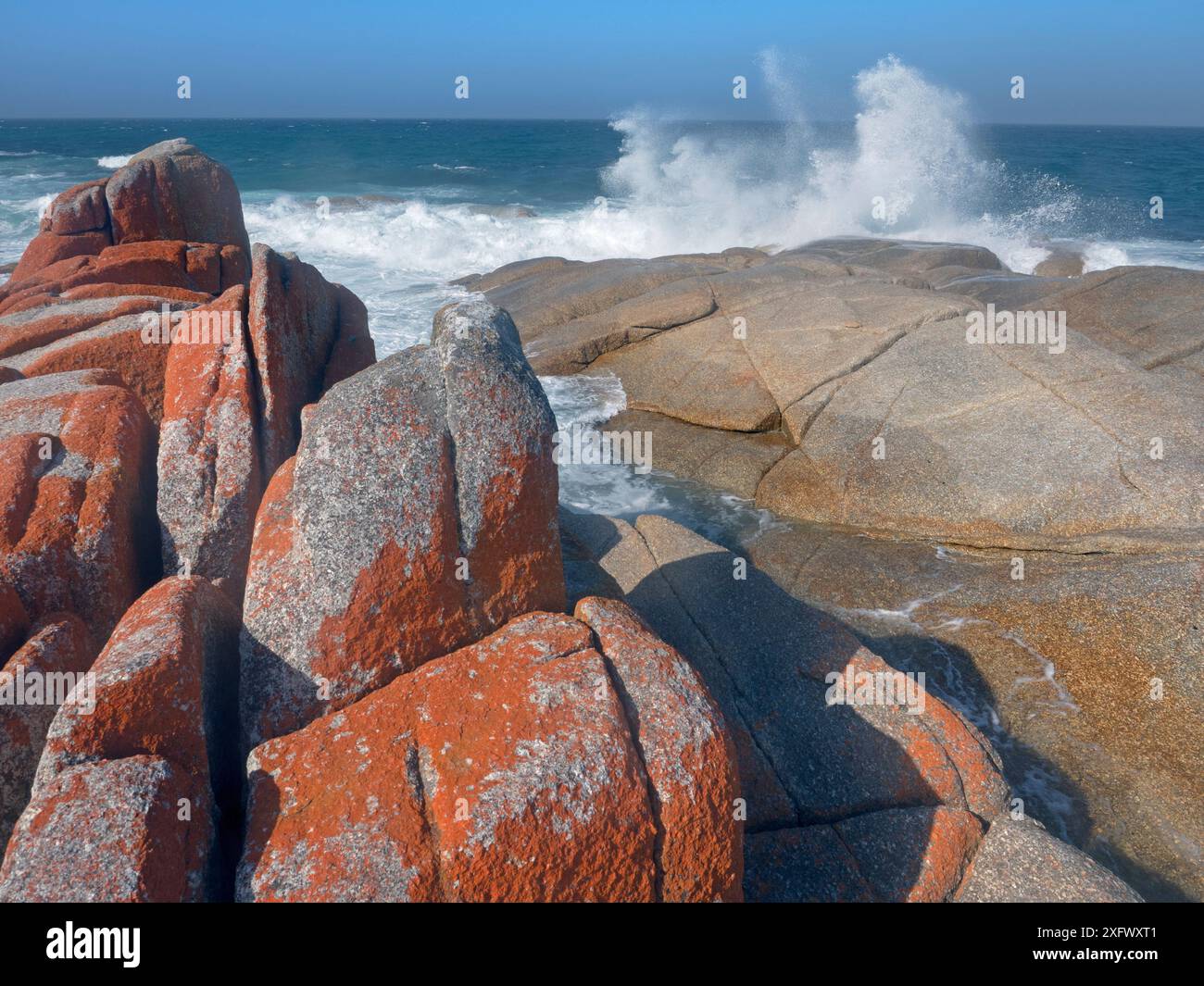 Vagues sur le rivage, avec du granit recouvert de lichen, Bay of Fires, côte est de la Tasmanie, Australie. Banque D'Images