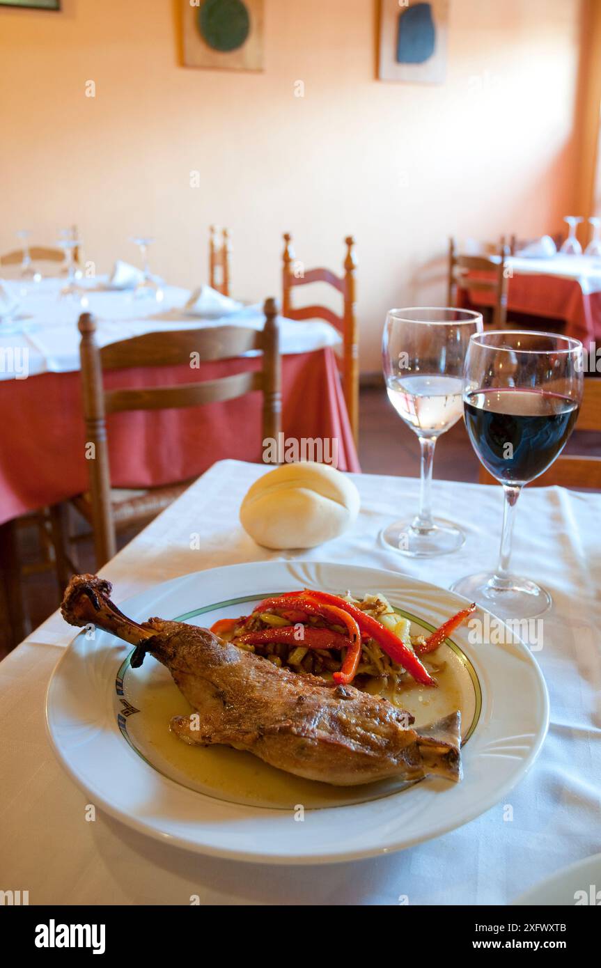 Rôti d'agneau. Castilla Leon, Espagne. Banque D'Images