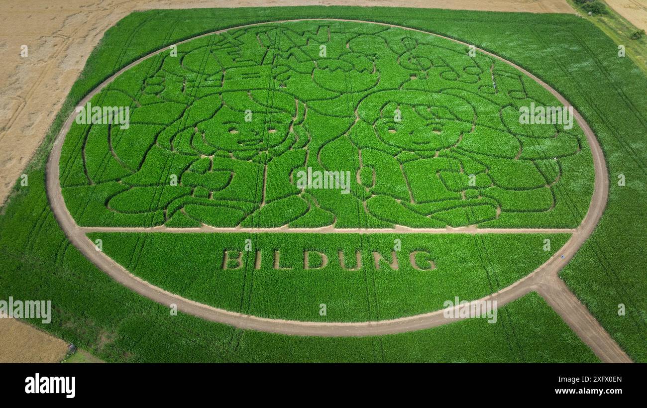 Petersberg, Allemagne. 05 juillet 2024. Le labyrinthe de maïs sur Peterberg (photo prise avec un drone). Le motif sur le thème de l'éducation dans le domaine a été créé sur une superficie de 35 000 mètres carrés. Cette photo dans le labyrinthe de maïs est basée sur l'objectif du don de cette année. Les opérateurs font don des droits d'entrée collectés à l'association 'Help for Togo'. Cela finance les écoles de ce pays. Crédit : Heiko Rebsch/dpa/Alamy Live News Banque D'Images