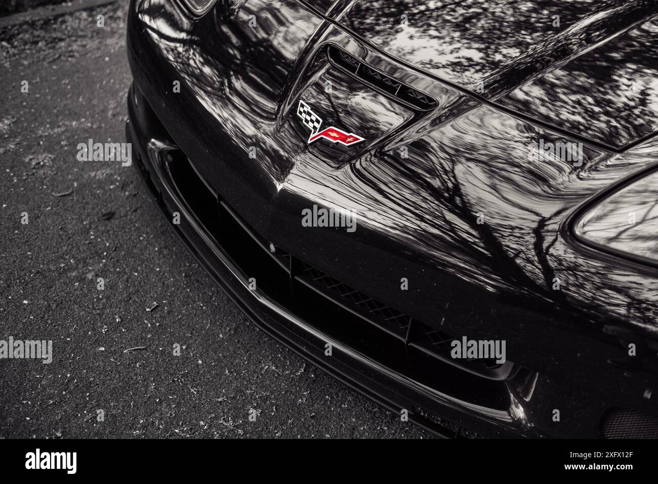 Vue avant de Chevrolet Corvette rouge dans une forêt. Vue rapprochée du capot du pare-chocs avant et des phares de la voiture de sport américaine. Banque D'Images