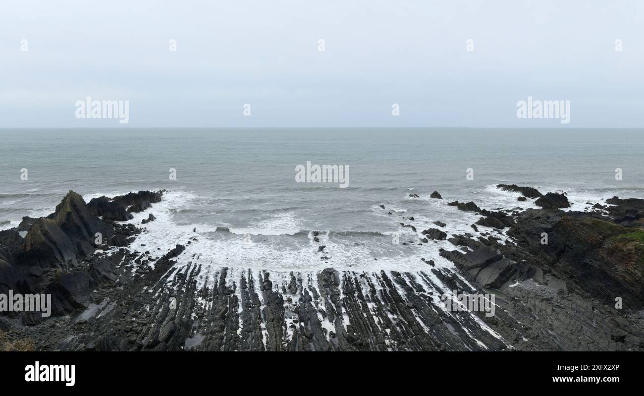 Un pli synclinal érodé a exposé des grès et des schistes de l'âge Carbonifère. Hartland Quay, Devon, Royaume-Uni, mai Banque D'Images