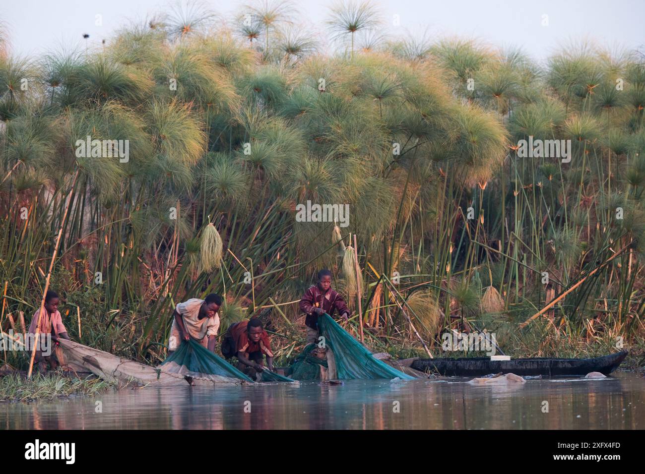 Pêcheur dans le marais de Bengweulu, Zambie. Banque D'Images