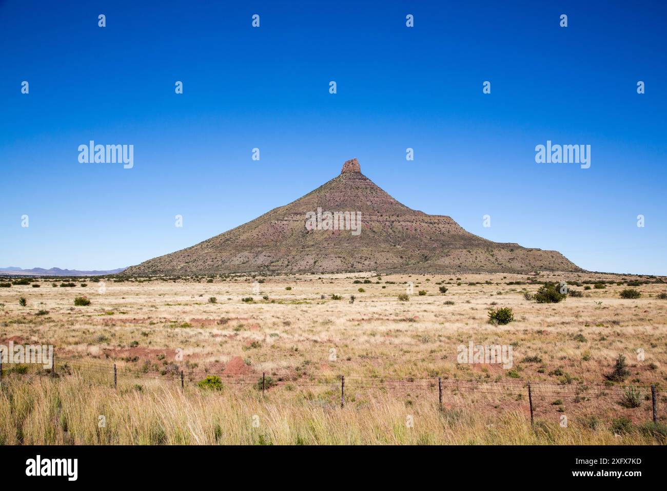 Paysage karoo dans la province du Cap oriental, Afrique du Sud. Banque D'Images