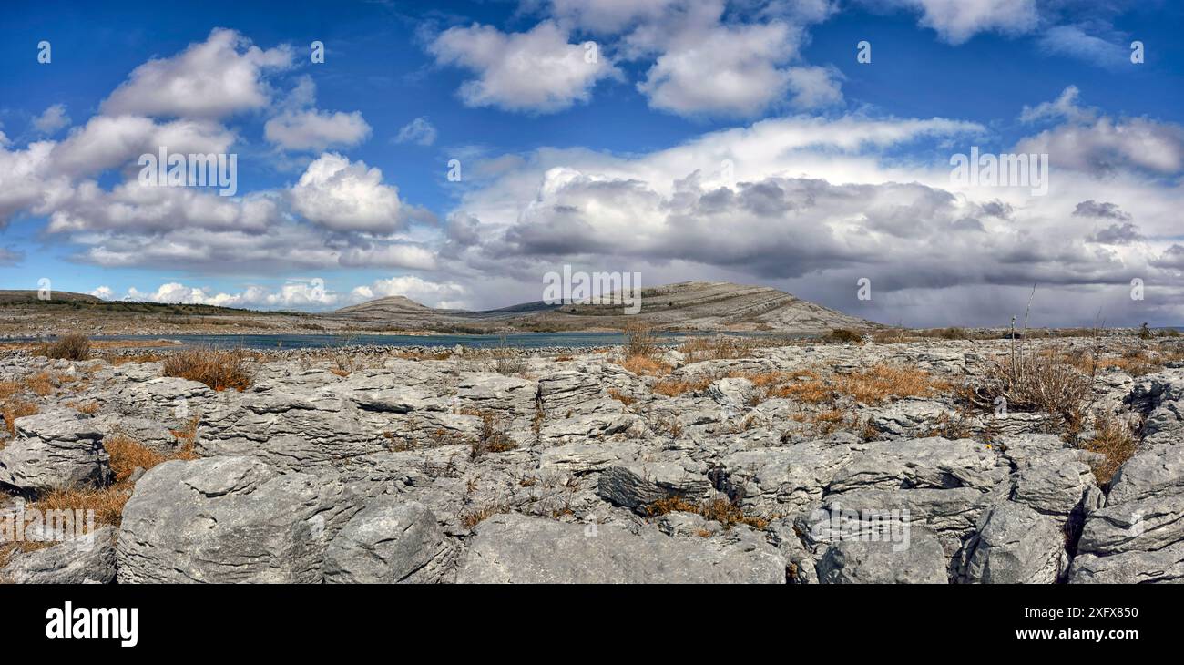 Chaussée calcaire du parc national Burren, Lough Gealain, Mullaghmore, County Clare, République d'Irlande. Avril 2016. Banque D'Images
