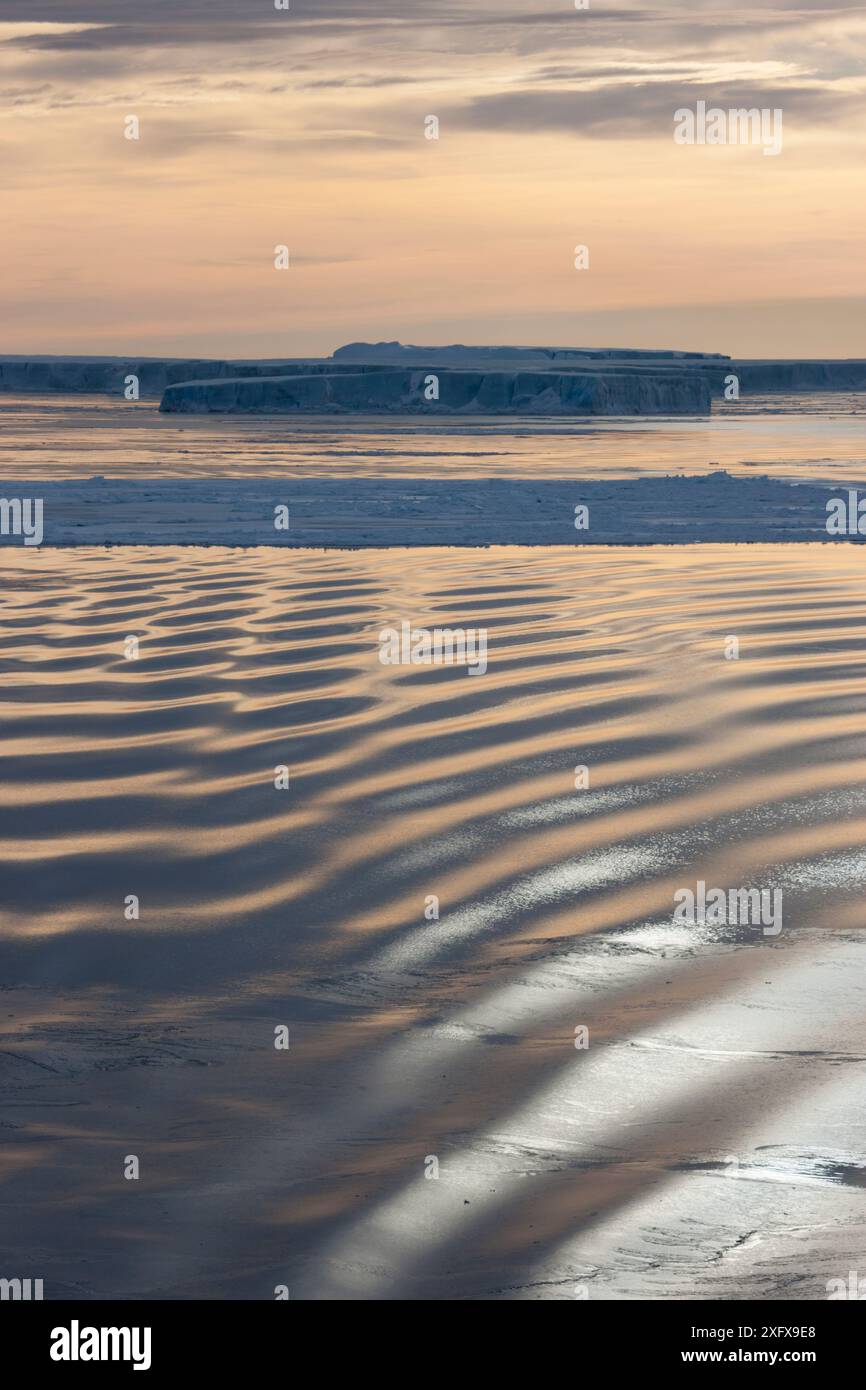 Formation de glace grasse à la surface de l'eau dans la mer de Weddell, Antarctique. La glace grasse est une couche très fine et épaisse de cristaux de frazil agglomérés, ce qui fait que la surface de l'océan ressemble à une nappe de pétrole Banque D'Images