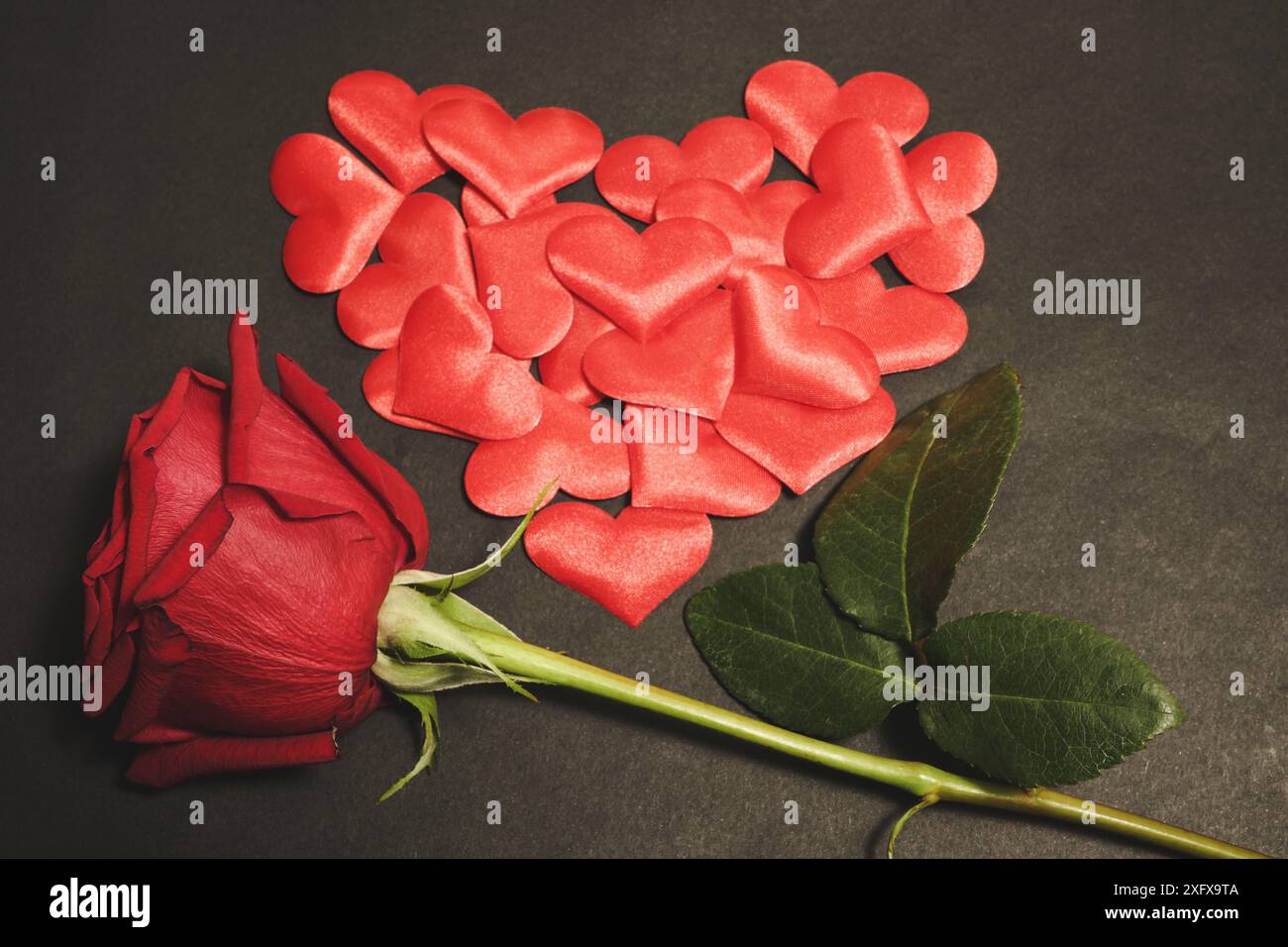 Photo horizontale de rose rouge voluptueuse et de petits coeurs en tissu, disposés en forme de coeur, sur fond noir foncé. Concept de la Saint-Valentin Banque D'Images