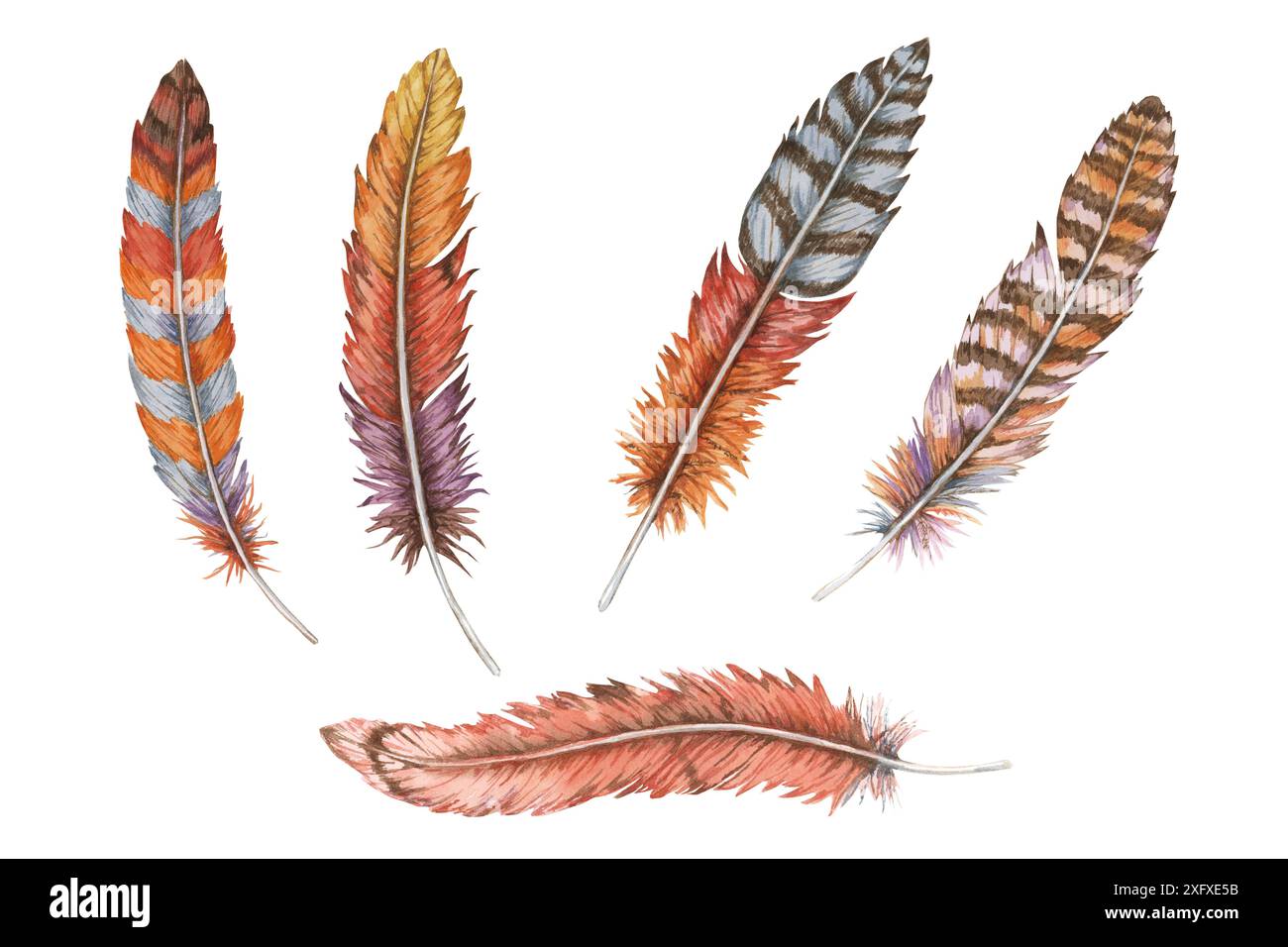 Collection de plumes de différentes couleurs et motifs, illustration détaillée de l'aquarelle dessinée à la main. Clipart parfait pour une utilisation dans les designs à thème boho, l'art éclectique et les projets d'artisanat, le décor bohème Banque D'Images