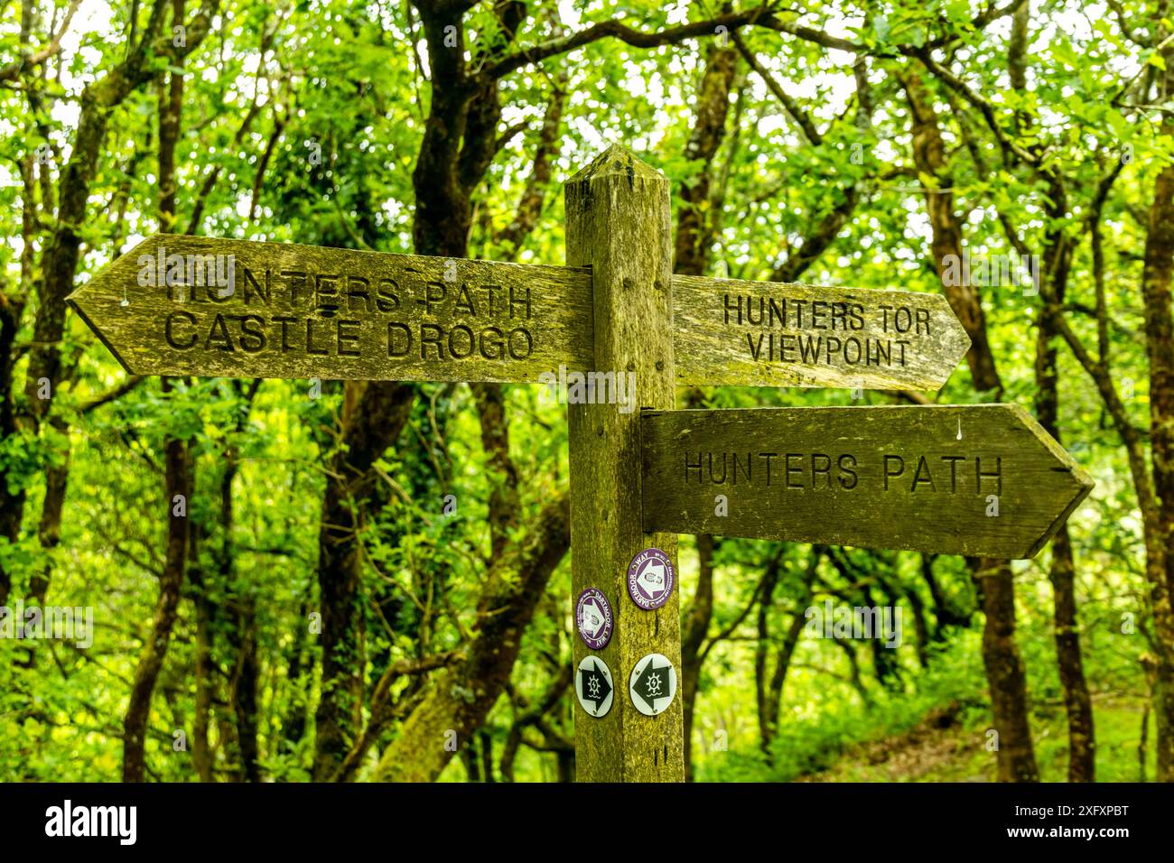 Promenez-vous dans le magnifique parc national de Dartmoor de Castle Drogo à Fingle Bridge - Exeter - Royaume-Uni Banque D'Images