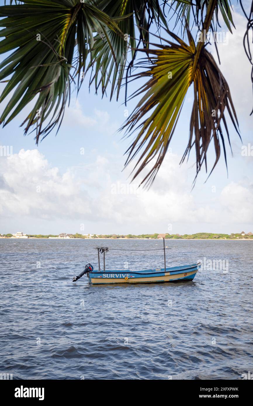 Un bateau nommé « survivre » flotte sur le coût de Shela Island dans le comté de Lamu. Shela est l'une des nombreuses îles du comté de Lamu. Cette région possède certains des établissements culturels swahilis les plus anciens et les mieux préservés d'Afrique de l'est. Il n'y a pas de voitures sur Shela et le calendrier et l'horaire quotidien de la ville tournent en grande partie autour de la religion et de la culture islamiques. (Photo de Katie G. Nelson / SOPA images/SIPA USA) Banque D'Images