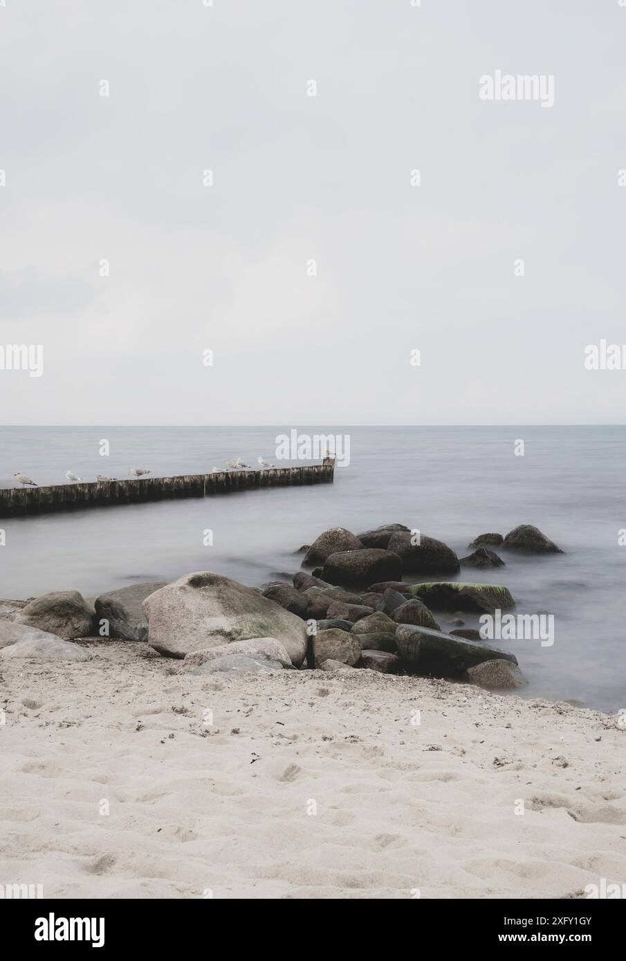 Mouettes et autres oiseaux assis sur des groynes à côté de rochers sur la plage de la mer Baltique de Kühlungsborn en Mecklembourg-Poméranie occidentale, Allemagne (exposition longue) Banque D'Images